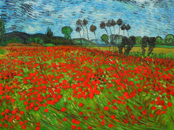 Field of Poppies by Vincent Van Gogh OSA405_resized
