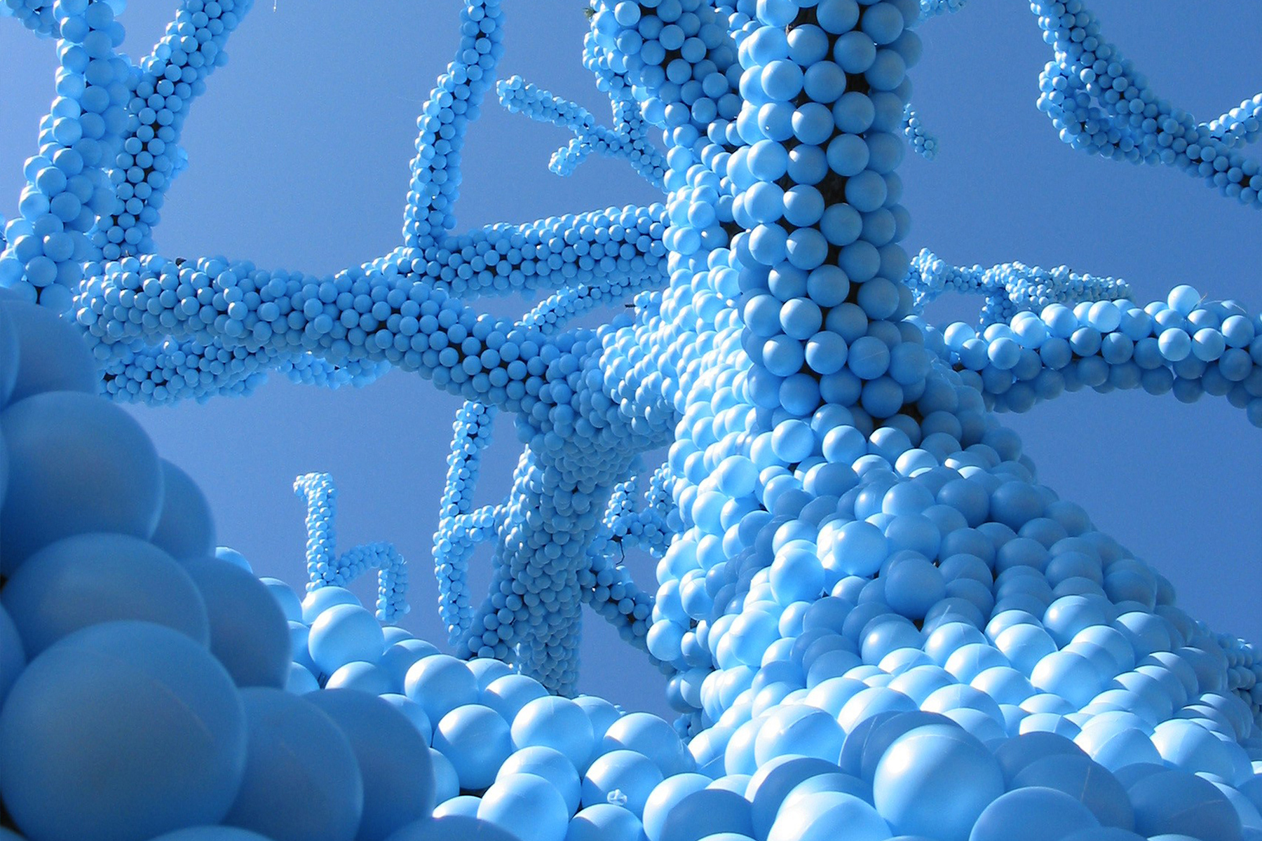 Blue Tree – CCxA