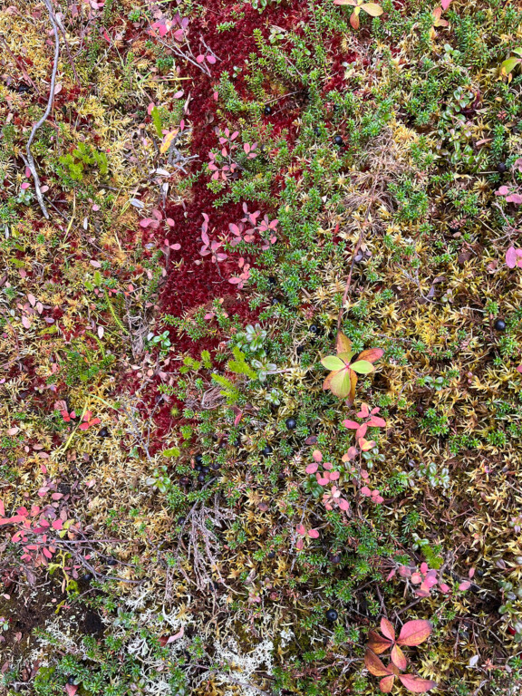 naskapi_kawawachikamach_87