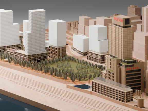 quartier_molson_34